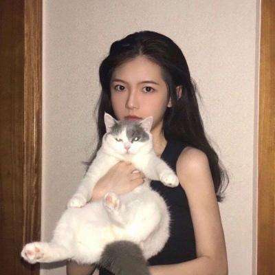 机甲风暴九游游戏下载